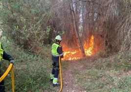 Los bomberos del Ayuntamiento de Valencia, extinguiendo un conato de incendio en la Devesa y la Albufera.