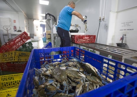 Imagen secundaria 1 - El Palmar: la meca de la paella a orillas de la Albufera