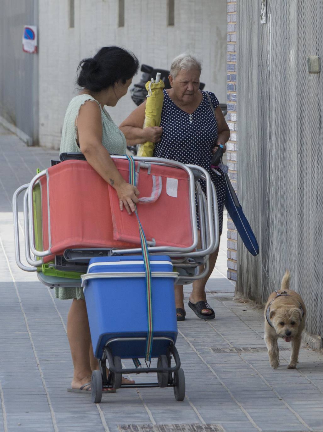 Pinedo: un oasis entre campos de arroz, el mar y el Turia