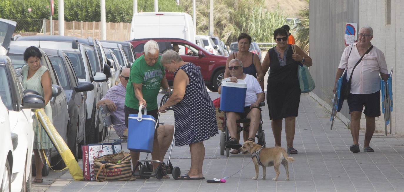 Pinedo: un oasis entre campos de arroz, el mar y el Turia