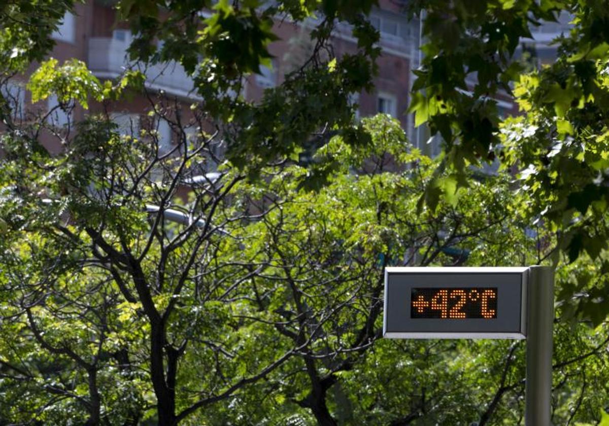 Efectos de la cuarta ola de calor del verano en España