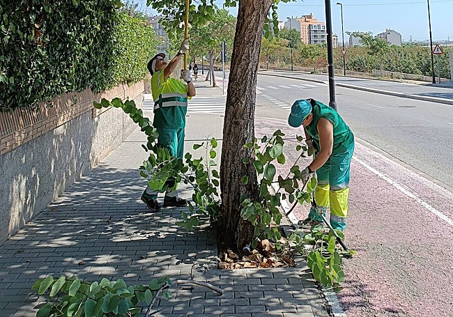 Dos operarias del mantenimiento de calles.