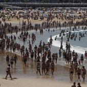 Cientos de medusas muertas inundan la playa más bonita de España