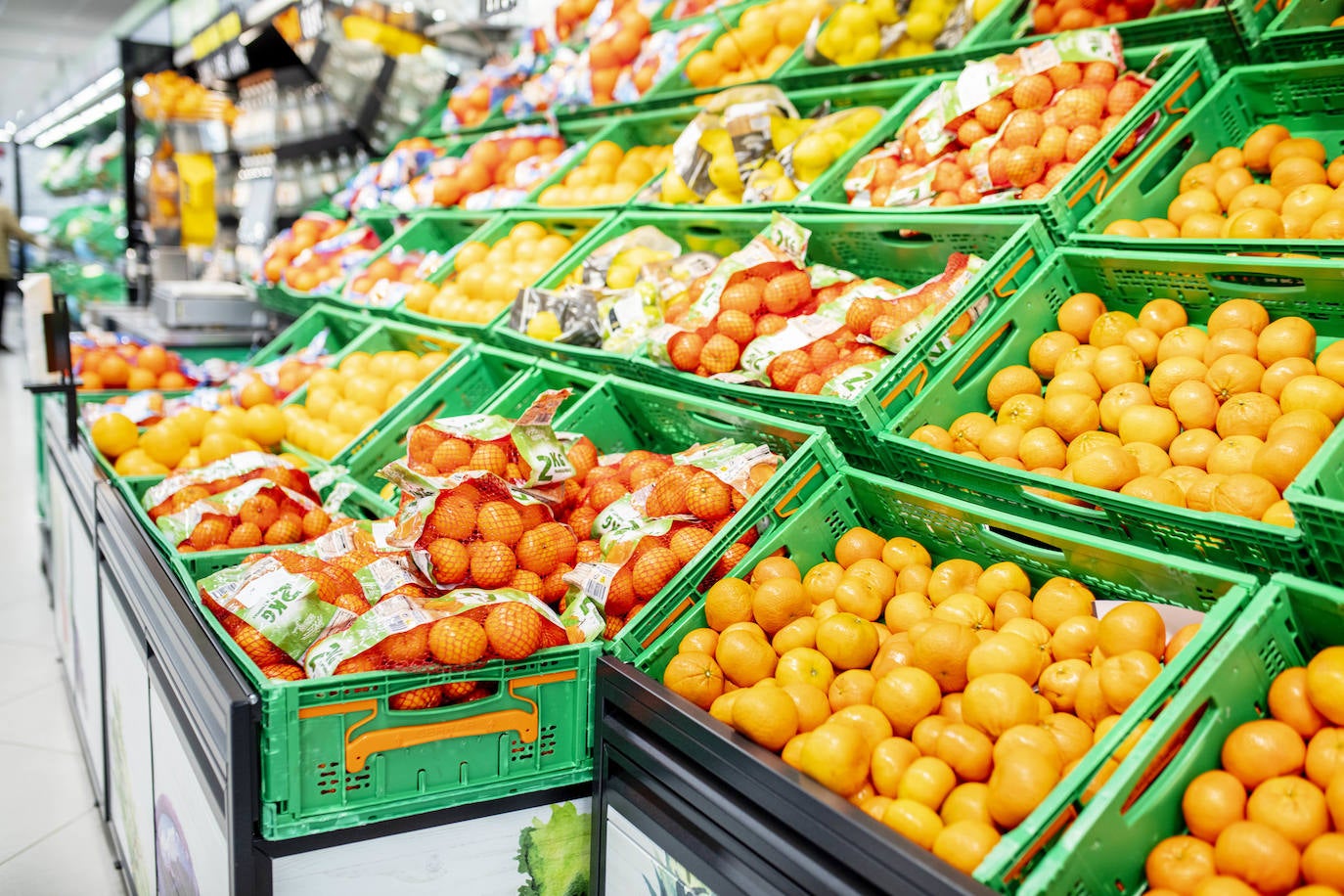 Naranjas y mandarinas de Mercadona.