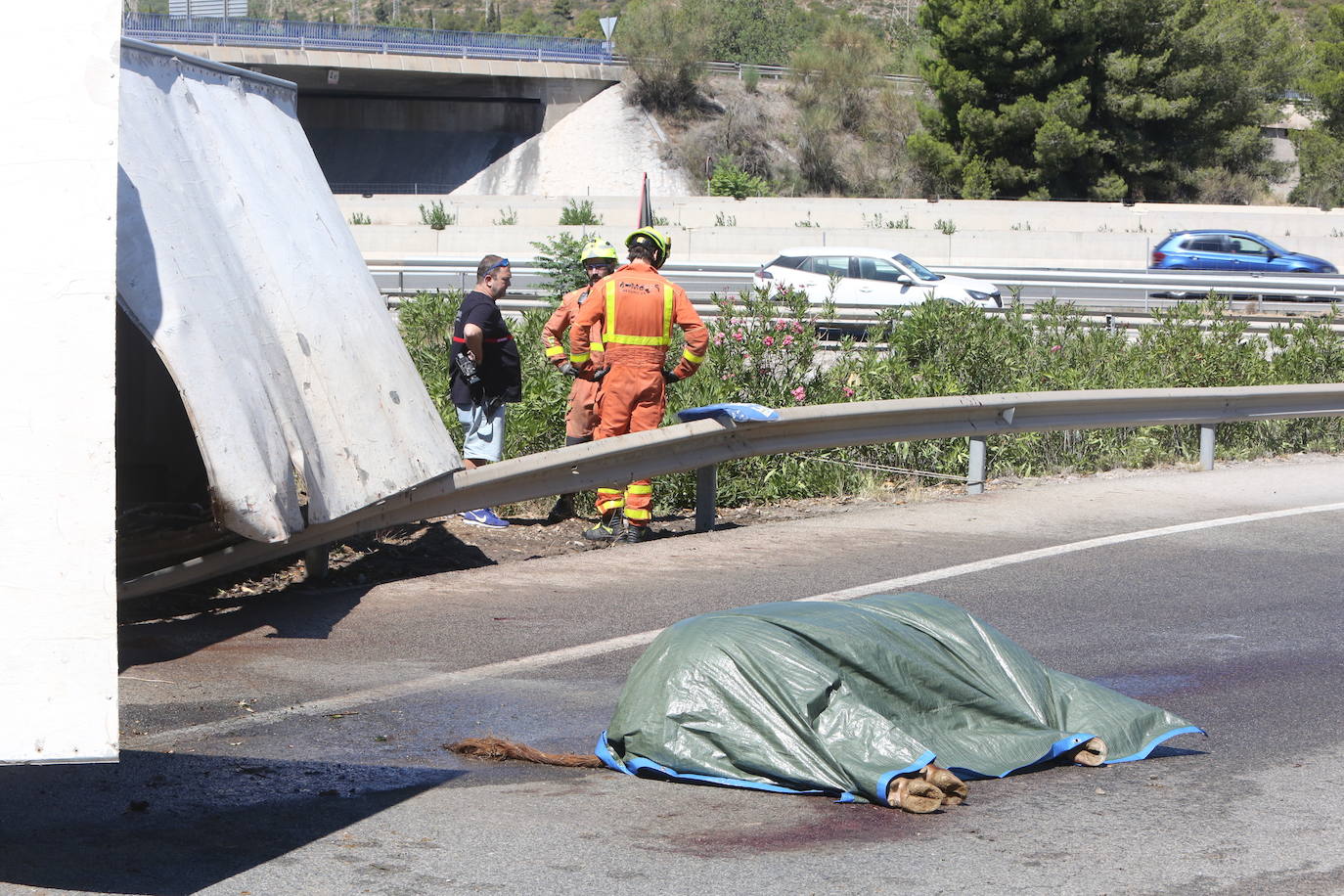 Un camión con toros vuelca en la A-3 hacia Valencia