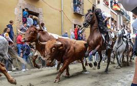 Entrada de los Toros y Caballos en las fiestas patronales de Segorbe