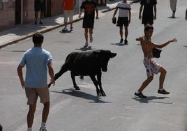 Una vaquilla por la calle en una imagen de archivo.