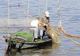 Pescadores en la Albufera.