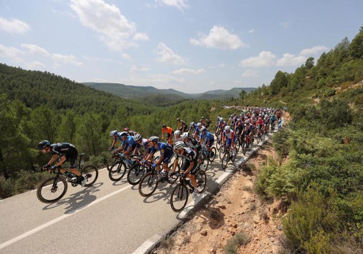 Los ciclistas, en plena carrera.