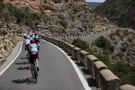 Varios ciclistas durante una etapa de la Vuelta.