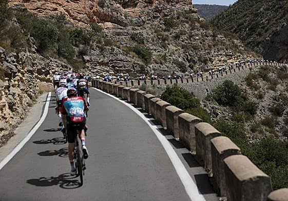 Varios ciclistas durante una etapa de la Vuelta.
