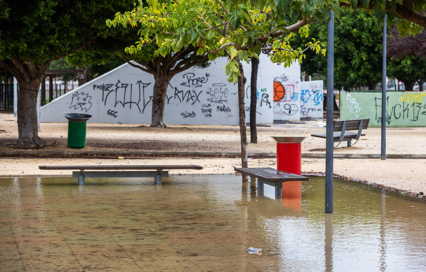 Los efectos del temporal en la Comunitat, en imágenes