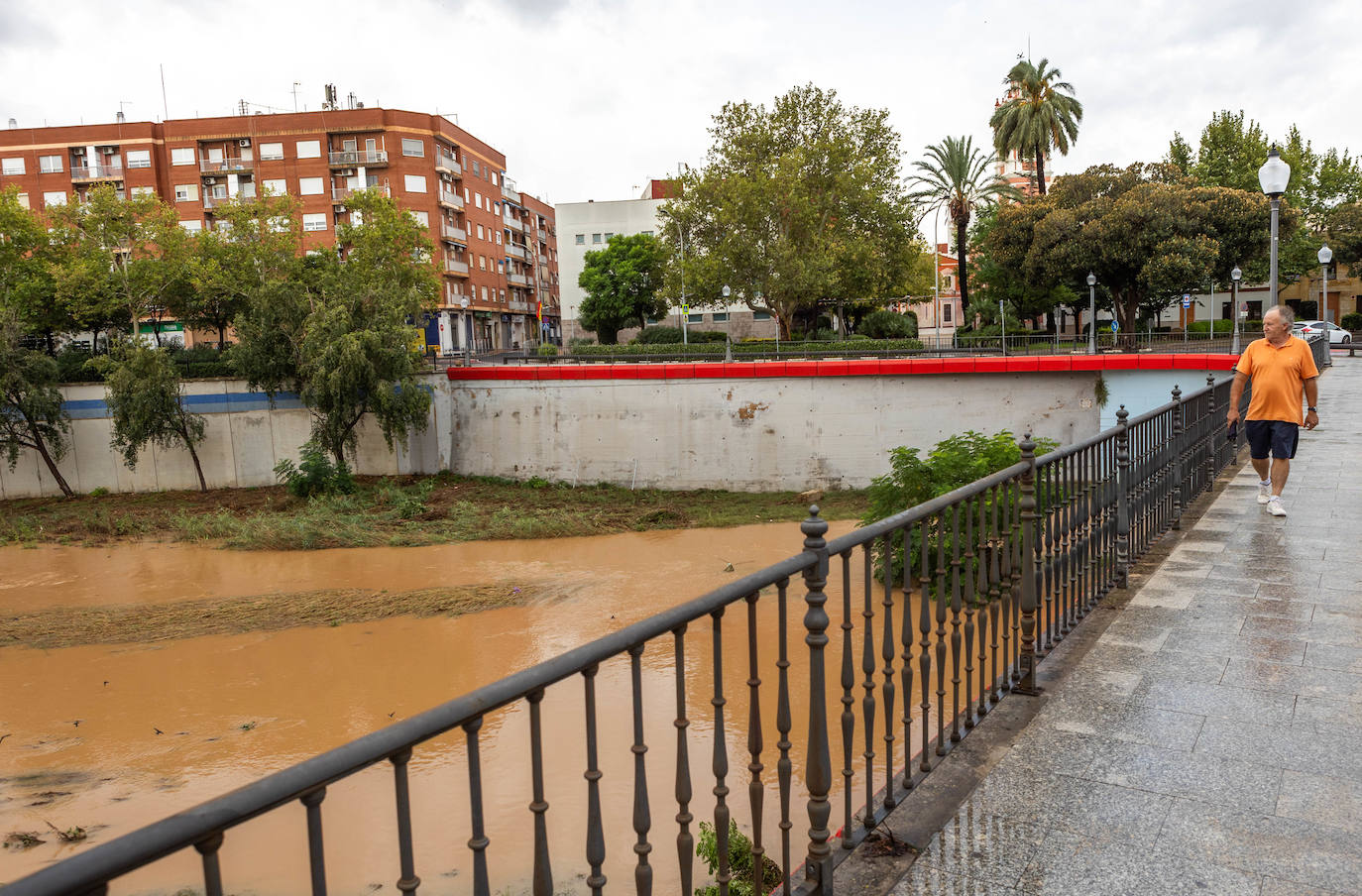 Los efectos del temporal en la Comunitat, en imágenes