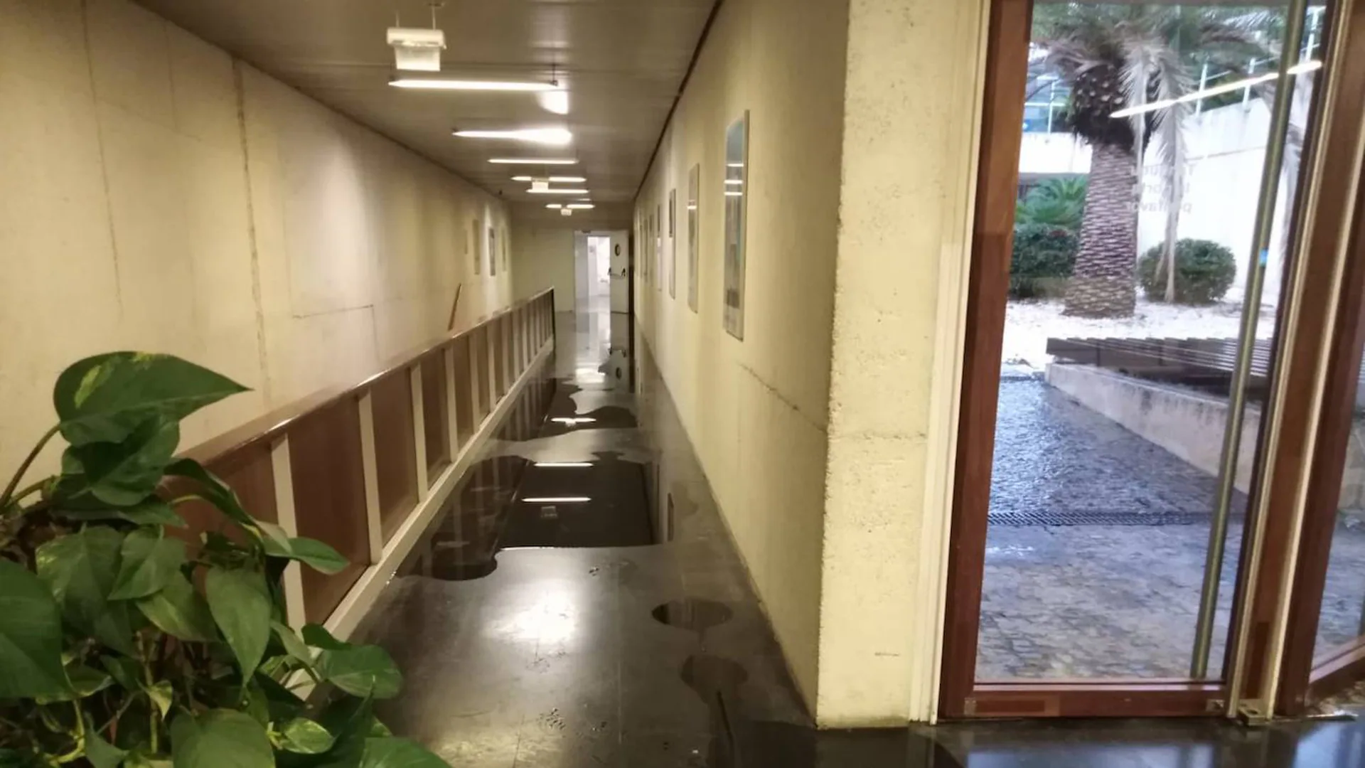 Floods and Negligence: The Palau de la Música’s Ongoing Struggles