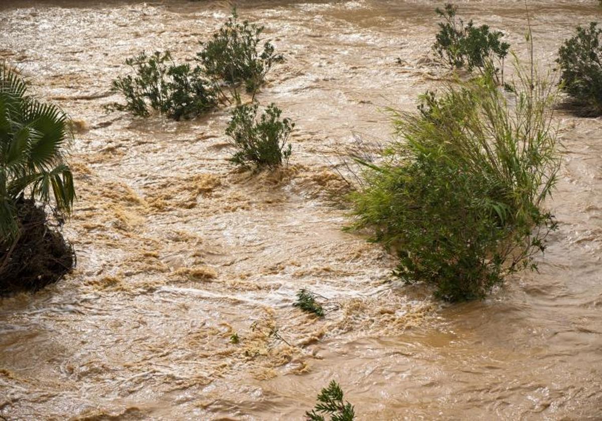 El agua en el río Servol.