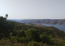 La planta se ubicaría en el entorno del embalse de Escalona de Navarrés.