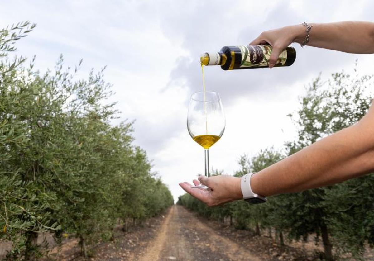 Producción de aceite en una almazara.