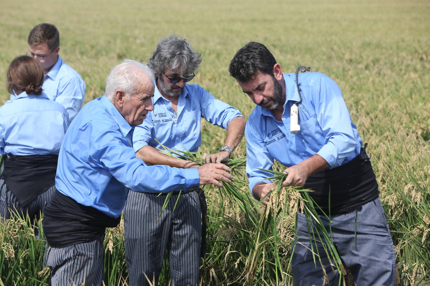 Antonio Gil Cuéllar enseña a Diego Guerrero y Arturo Valls cómo se hace la siega.