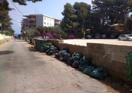 Bolsas de basura junto a un contenedor este verano.