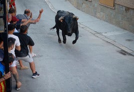 Un toro corre por las calles durante las fiestas de Alboraia.