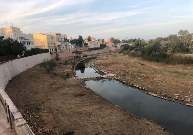 Tramo del Serpis a su paso por el centro de Gandia, en una imagen de hace unos días. El cauce fue limpiado este verano.