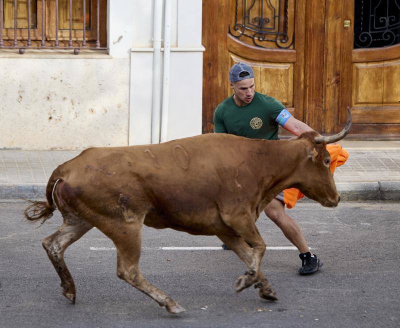 Los bous al carrer vuelven a Valencia