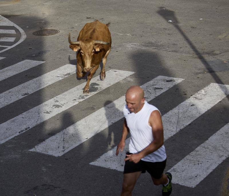 Los bous al carrer vuelven a Valencia