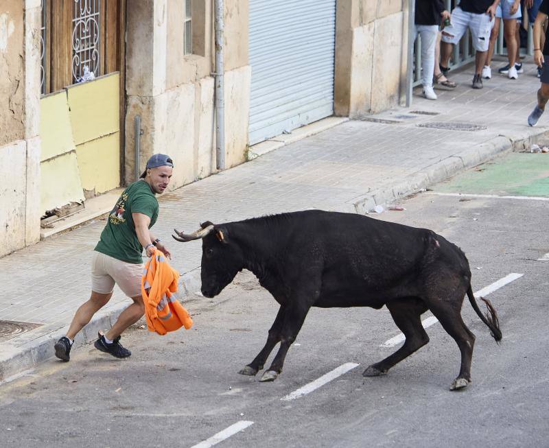 Los bous al carrer vuelven a Valencia