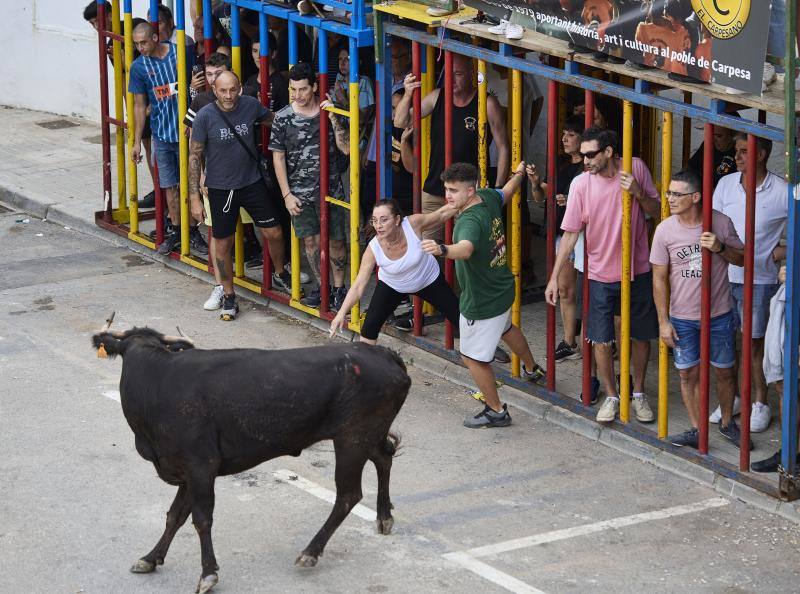 Los bous al carrer vuelven a Valencia