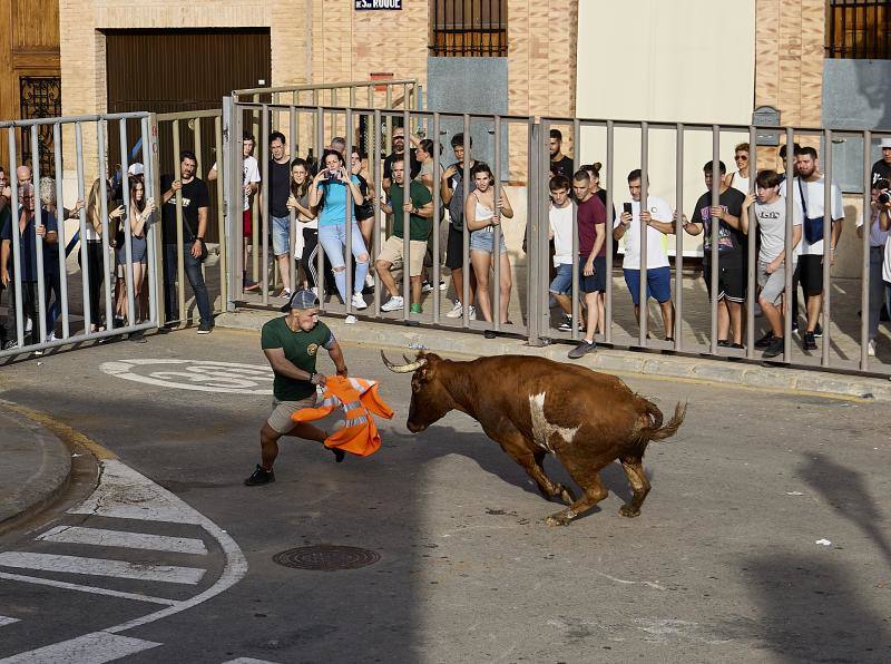 Los bous al carrer vuelven a Valencia