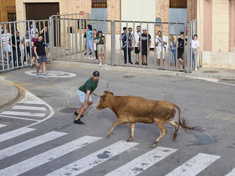 Los bous al carrer vuelven a Valencia