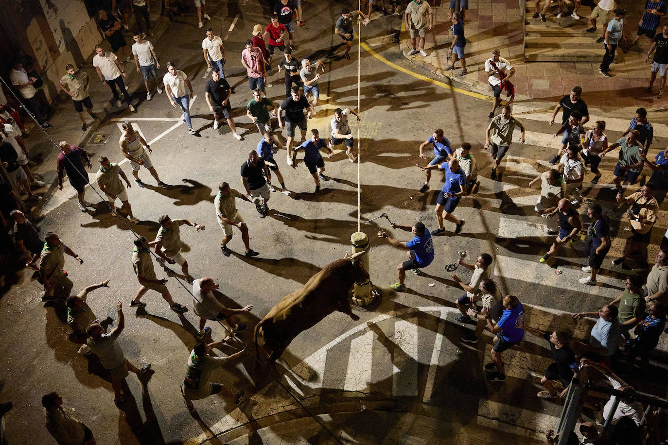 Los bous al carrer vuelven a Valencia