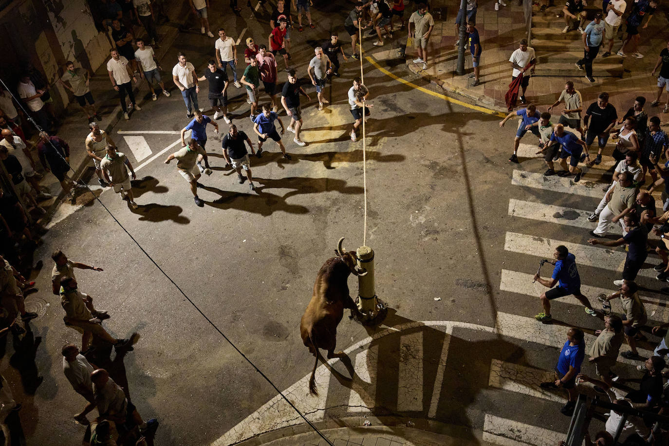 Los bous al carrer vuelven a Valencia