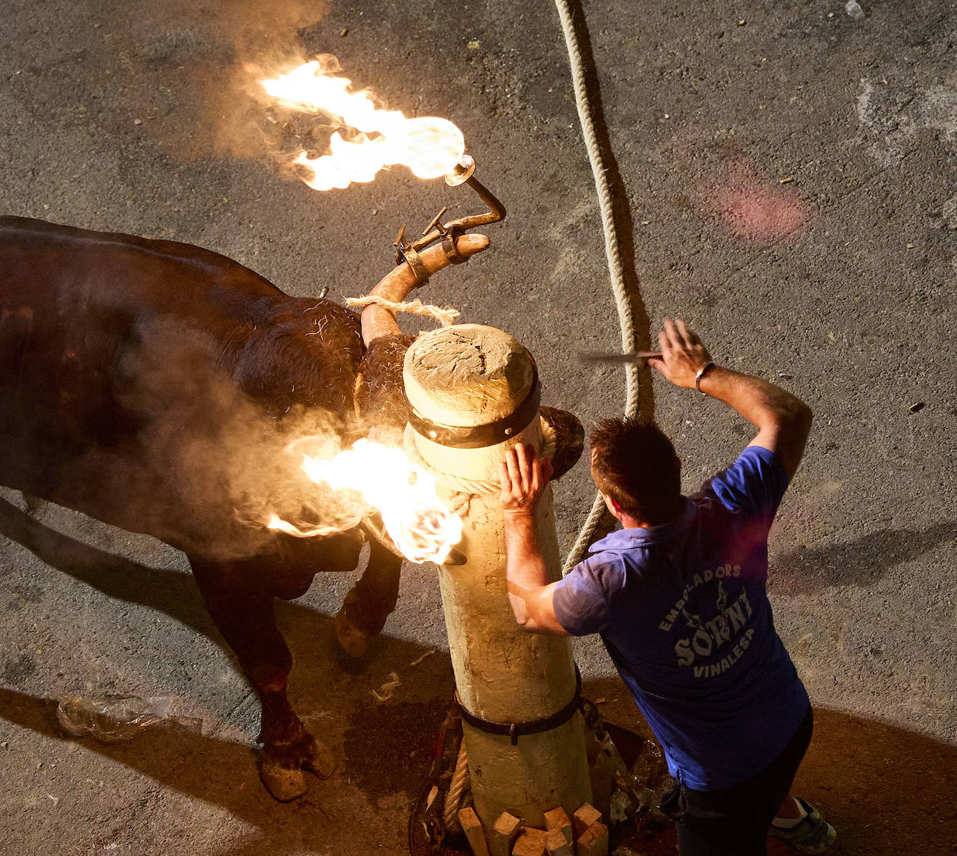 Los bous al carrer vuelven a Valencia