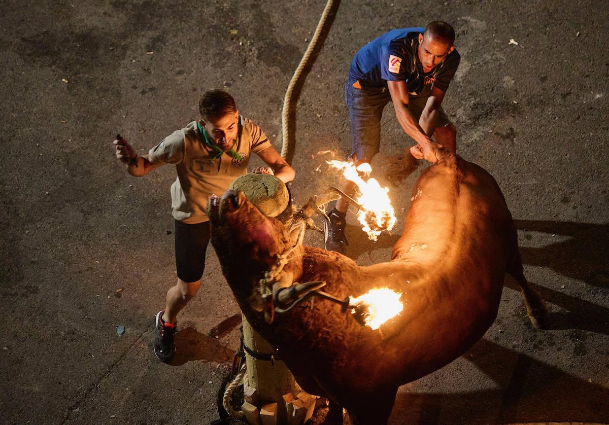 Carpesa celebra por primera vez festejos taurinos en las calles desde 2015