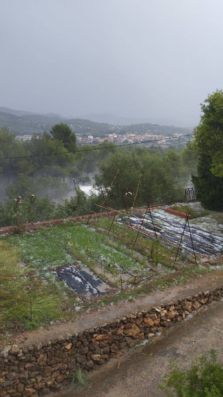 Los bous al carrer vuelven a Valencia