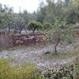 Granizo en la Pobla de Vallbona