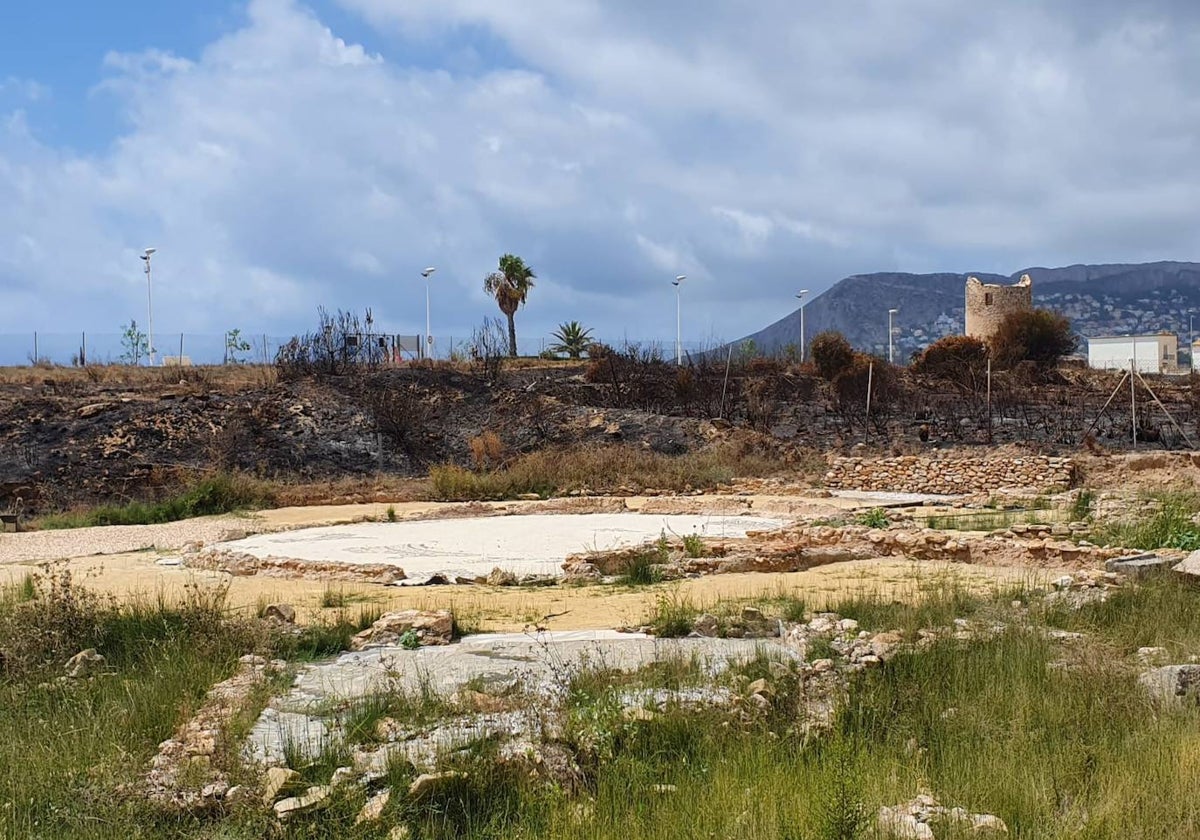 La zona afectada por el incendio.