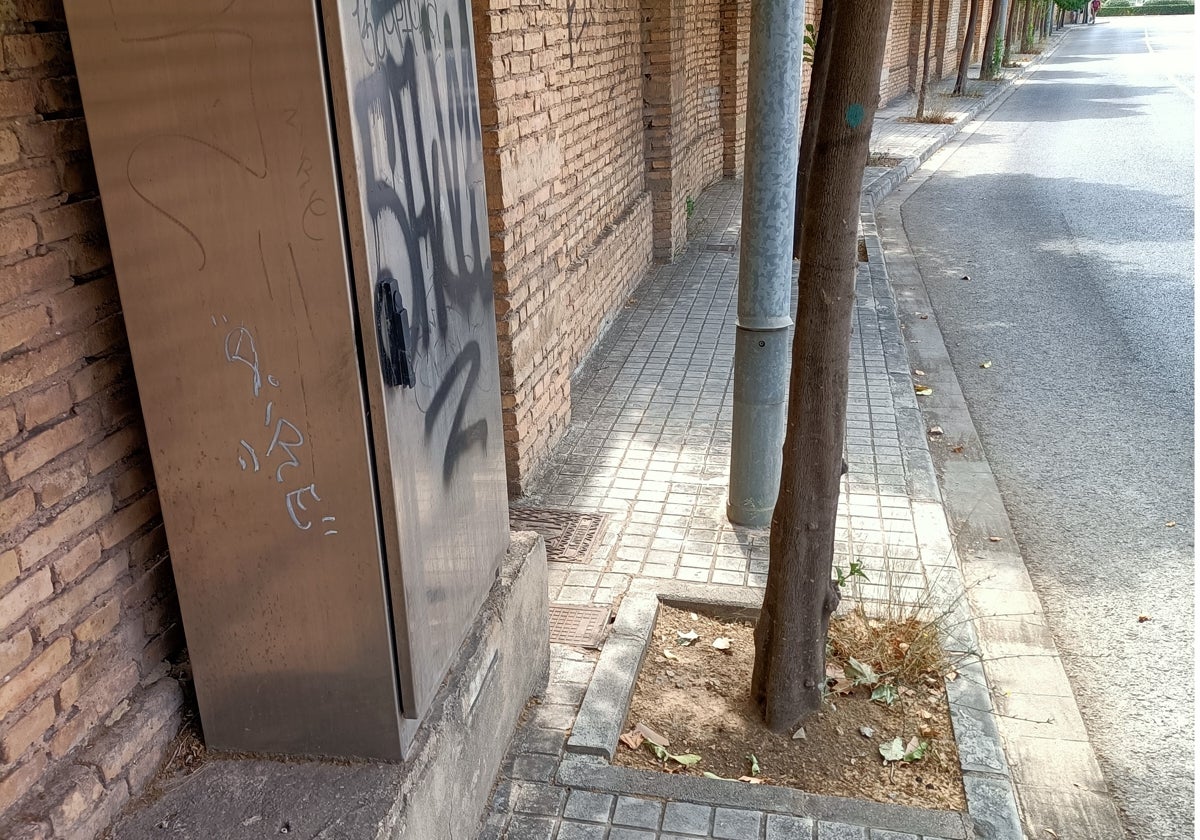 En el mismo tramo se amontona un transformador, un alcorque, un árbol y una farola.