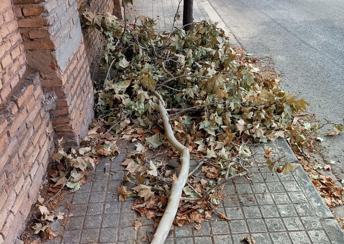 Imagen secundaria 1 - La peor acera de Valencia