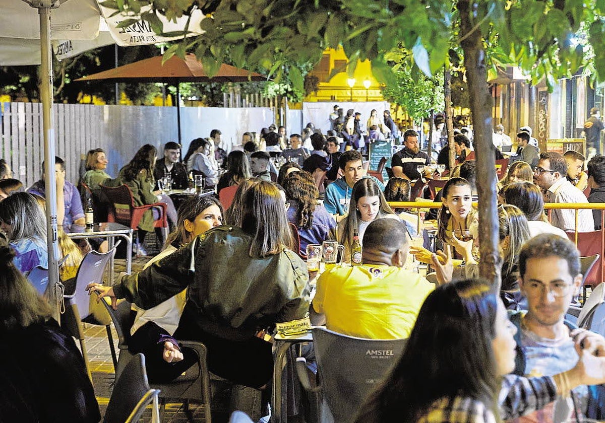 Algunas de las terrazas de la Plaza del Cedro de Valencia.