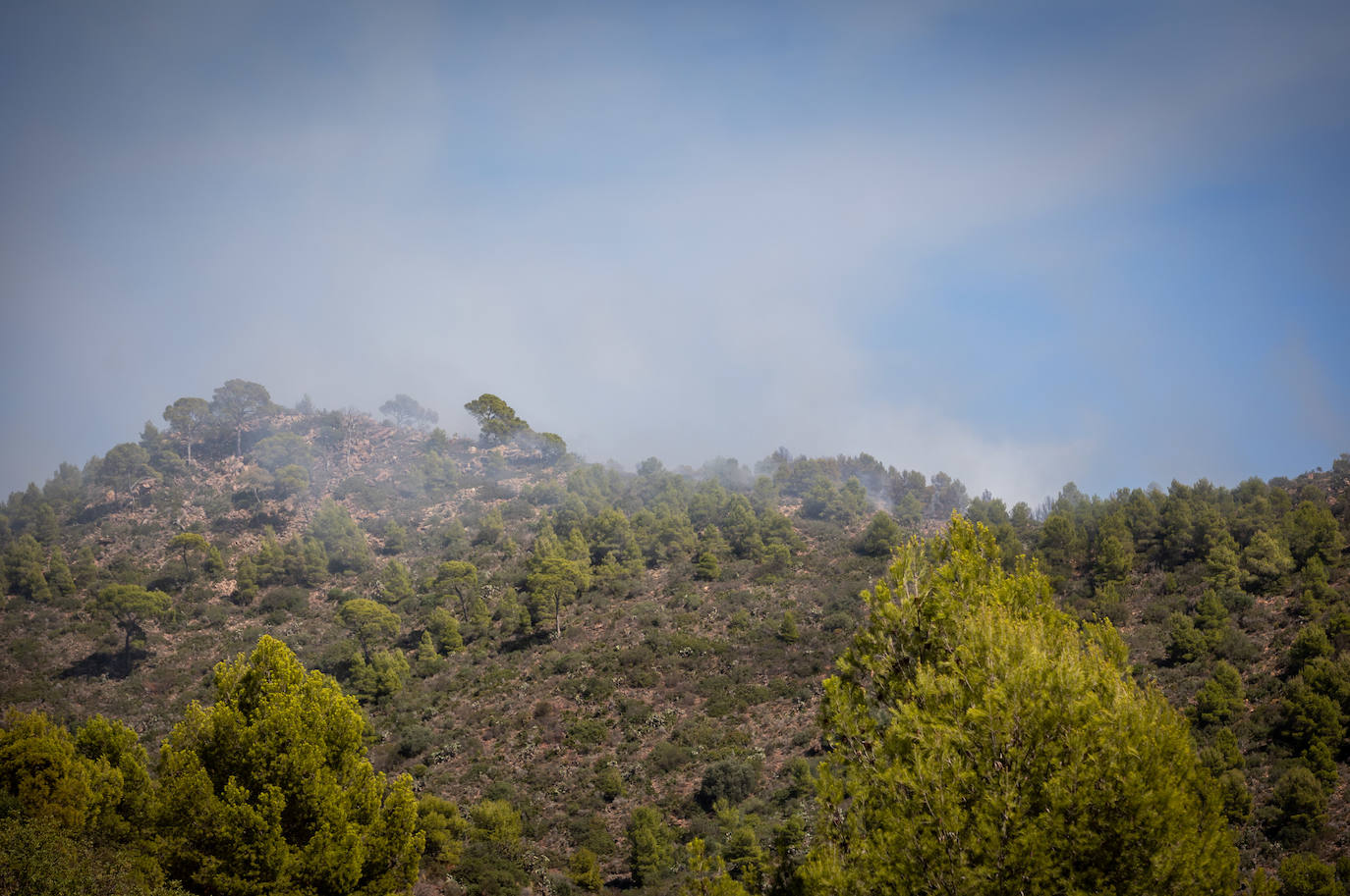 Fotos del incendio junto al monte Picayo, en la Sierra Calderona de Valencia