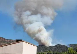 El fuego en el monte Picayo.