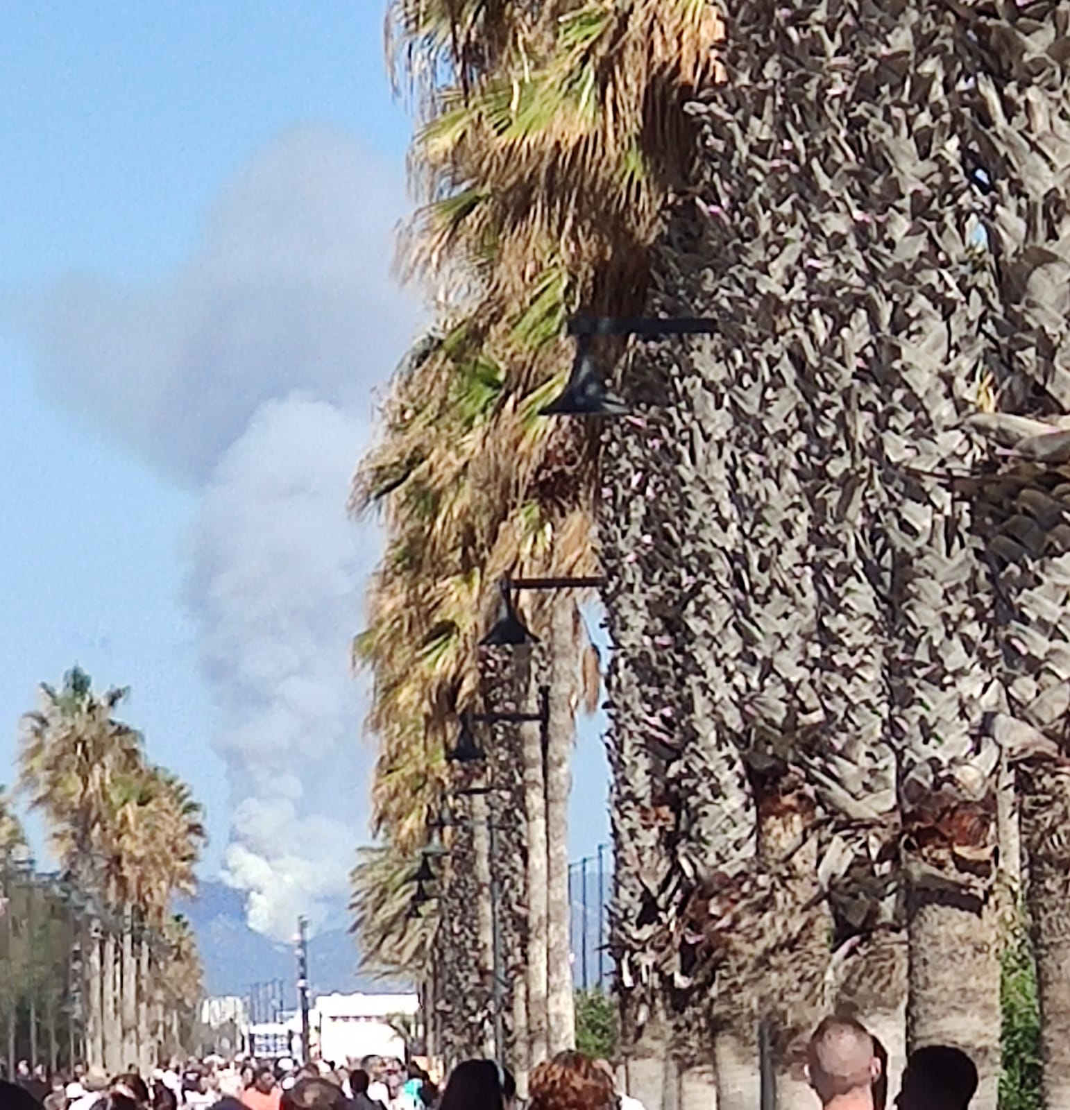 Fotos del incendio junto al monte Picayo, en la Sierra Calderona de Valencia