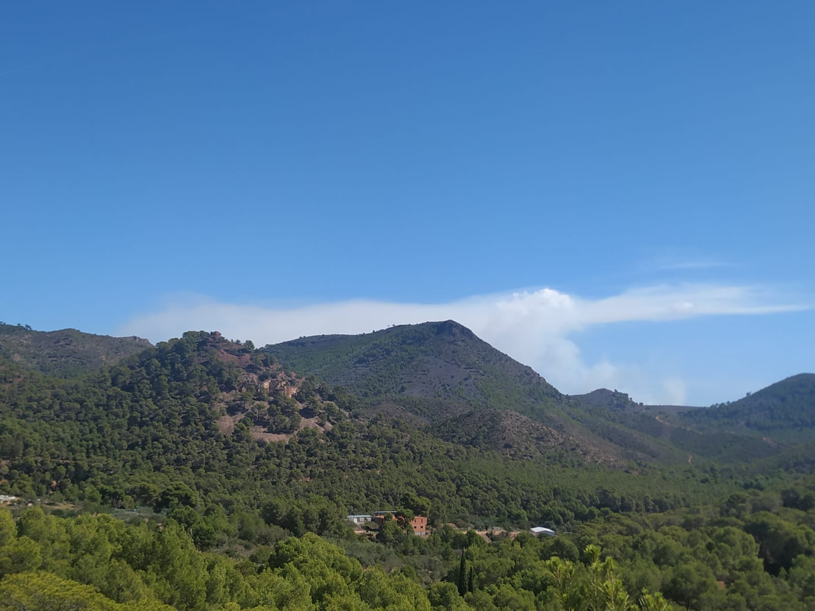 Fotos del incendio junto al monte Picayo, en la Sierra Calderona de Valencia