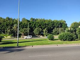 Zona dónde se creará un paso de peatones.