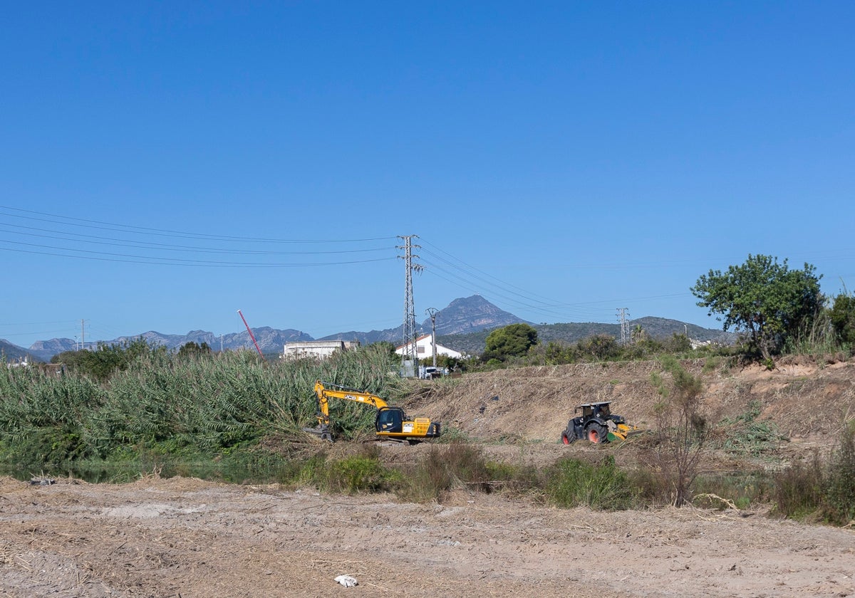 Máquinas trabajando en el cauce del Serpis para retirar las cañas.