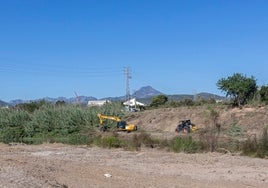 Máquinas trabajando en el cauce del Serpis para retirar las cañas.