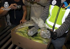 Paquetes de cocaína camuflados en un cargamento de fruta.