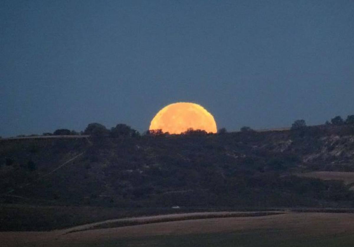 Luna llena de Cosecha 2023: fecha, horario, significado y cómo verla